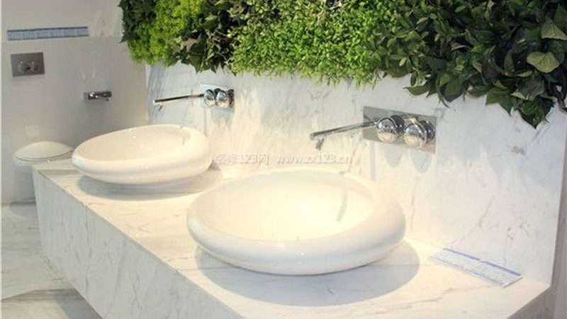 壁挂马桶与落地马桶：空间利用与设计风格的差异